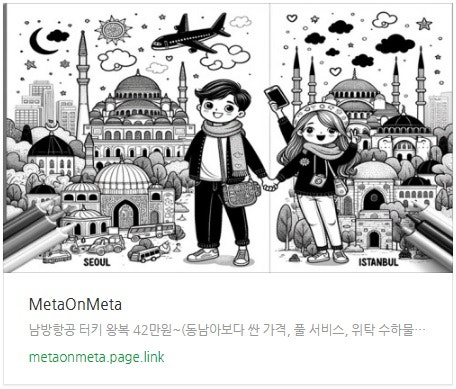 추천 항공권 탐색 - 남방항공 터키 왕복 42만원~