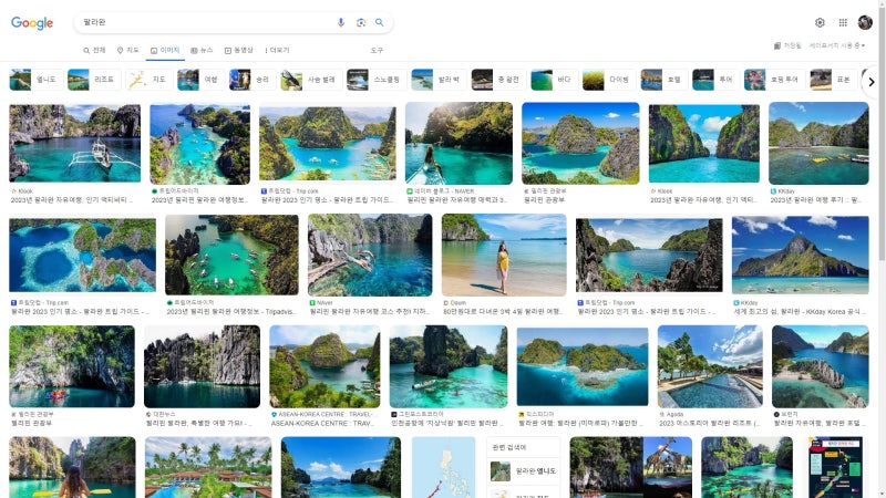 '팔라완' 구글 이미지 검색