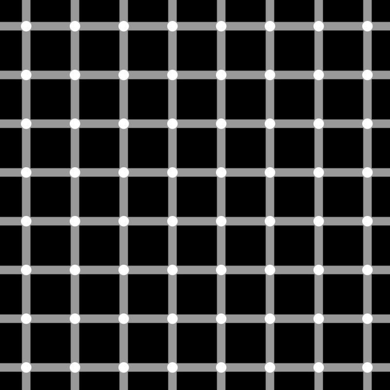 Grid illusion - wikipedia