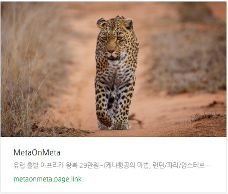 추천 항공권 탐색 - 유럽 출발 아프리카 왕복 29만원~