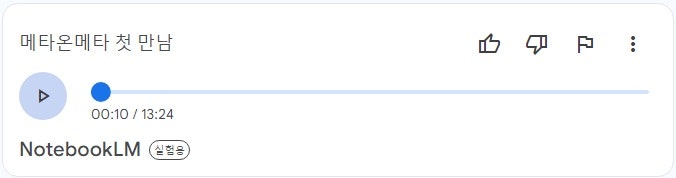 메타온메타에 대한 심층 대화 by NotebookLM
